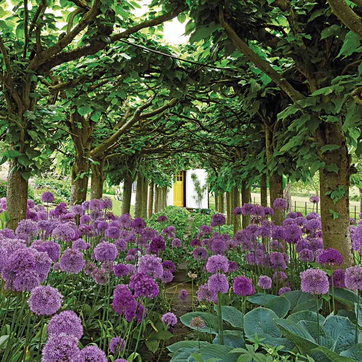 Die Gärten der Dichter Gartenbücher Bücher The Garden Shop