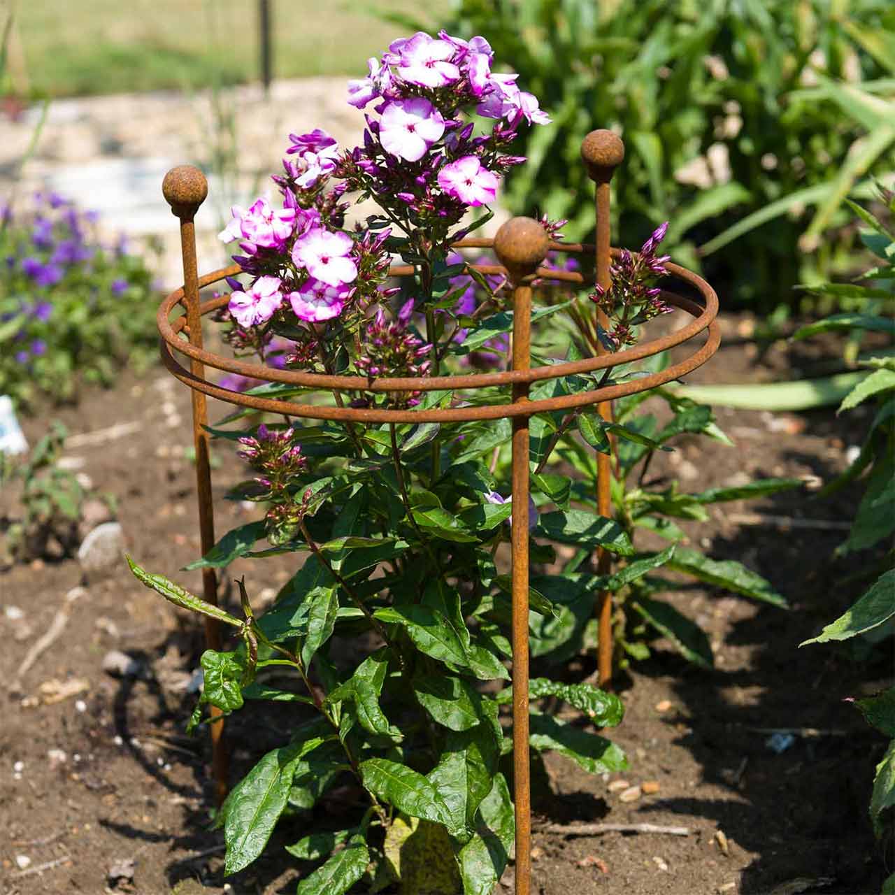 Pflanzenstütze »Short Plant Support« Staudenhalter Pflanzenstützen