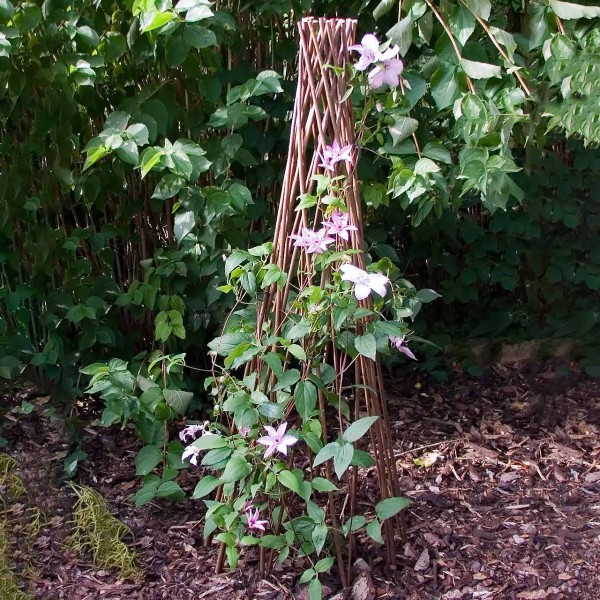 Rankhilfe »Weidensäule - ausziehbar«