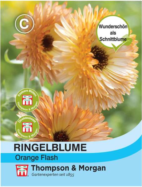 Ringelblume Orange Flash