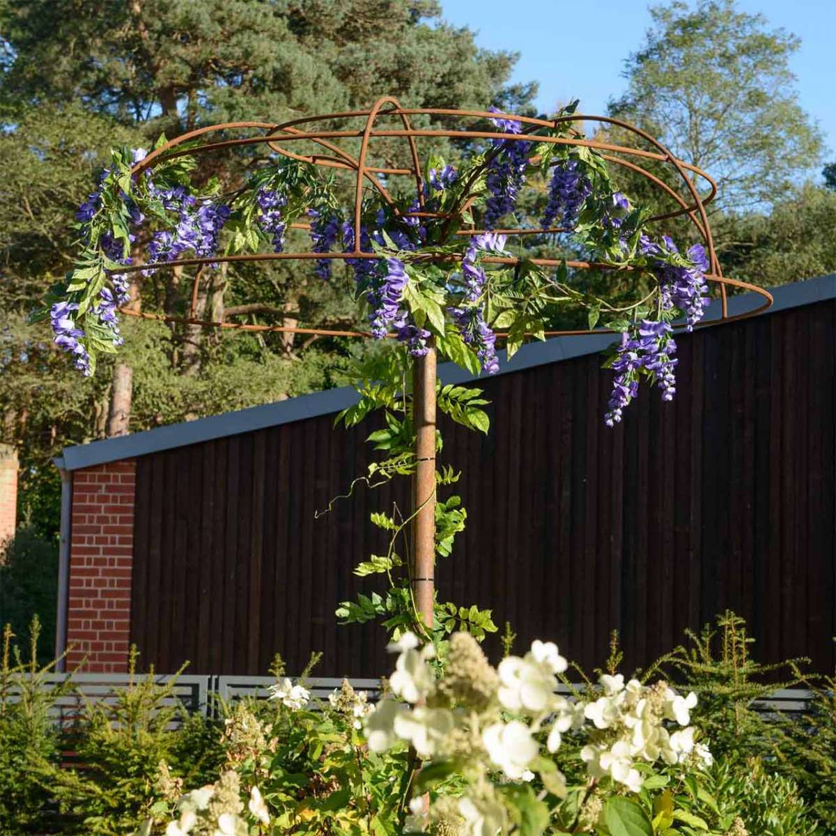 BlauregenSchirm The Garden Shop