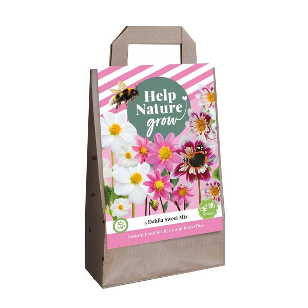 Dahlien Mischung Sweet Mix Dahlien Mischung Sweet Mix
