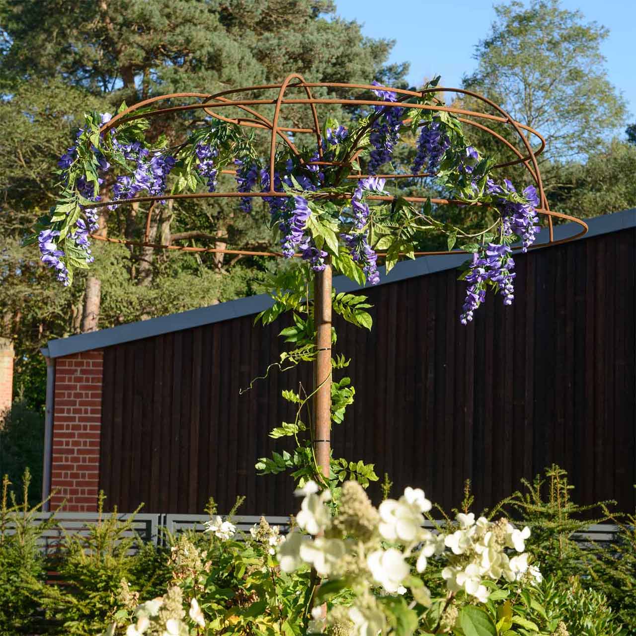 BlauregenSchirm The Garden Shop