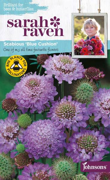 Blumensamen Scabious von Sarah Raven