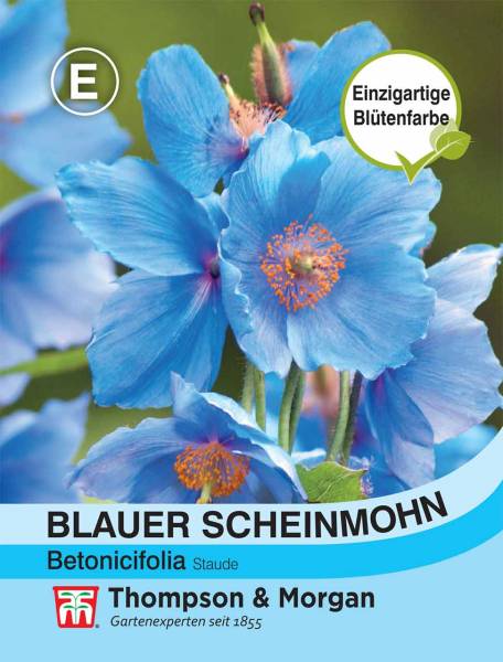 Blumensamen Blauer Scheinmohn