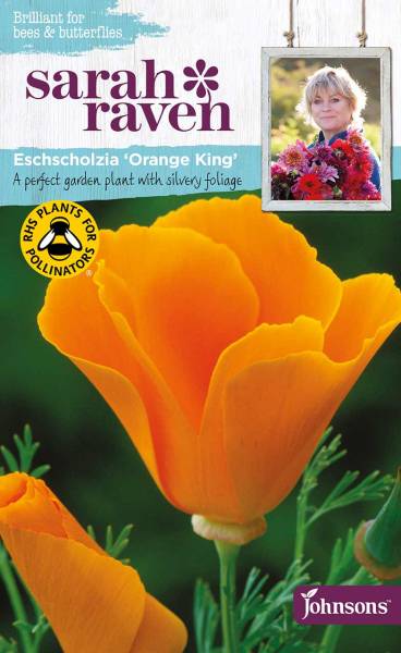 Kalifornischer Mohn Orange King Sarah Raven