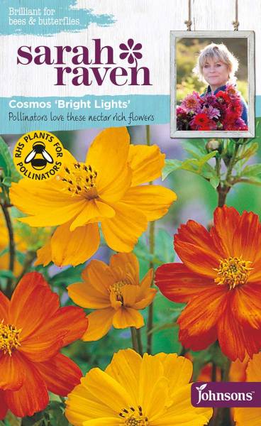 Blumensamen Cosmos Briht Lights