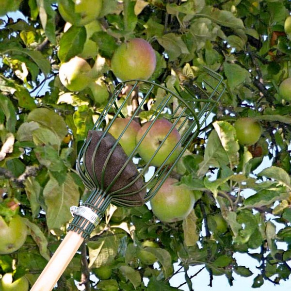 Obstpflücker »Apple Picker«