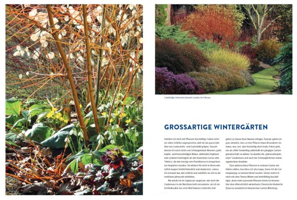 Lebendige Gärten im Winter Gartenbücher Bücher The Garden Shop