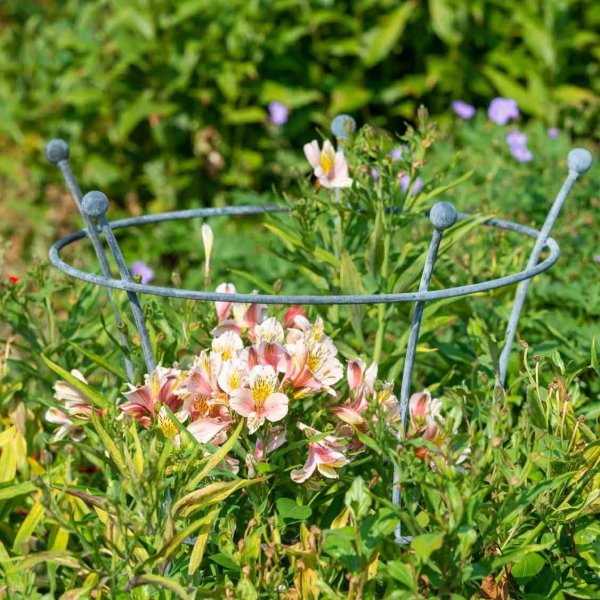 Staudenhalter »Southwold Trumpet« Staudenhalter Pflanzenstützen