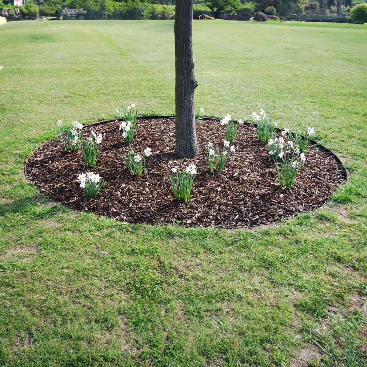 Baumring Rasenkante The Garden Shop