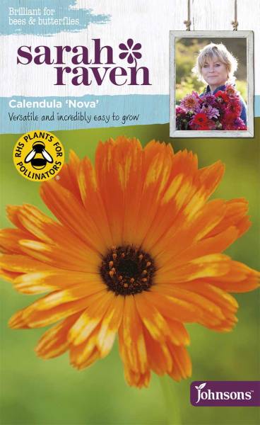 Calendula Nova