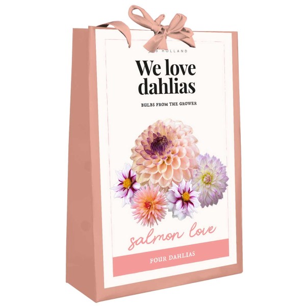 Dahlien Kollektion We love Dahlias - Salmon Love Dahlien Kollektion We love Dahlias - Salmon Love
