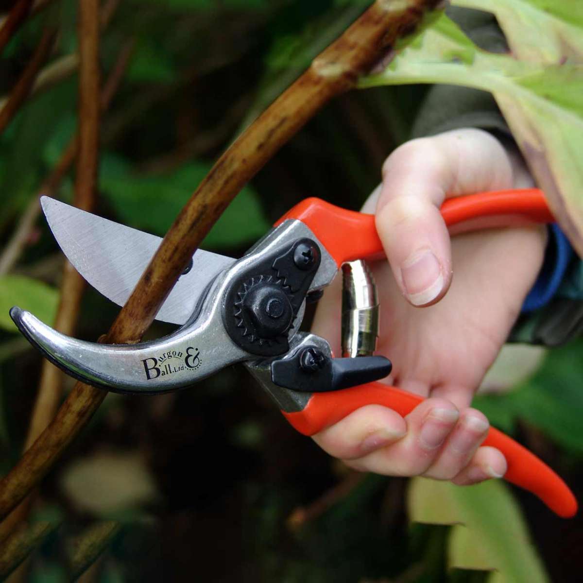 Gardenslicer Pro Gartenschere 2-teilig - Scharfe SK-5 Stahlklinge Für Äste Bis 20mm Durchmesser