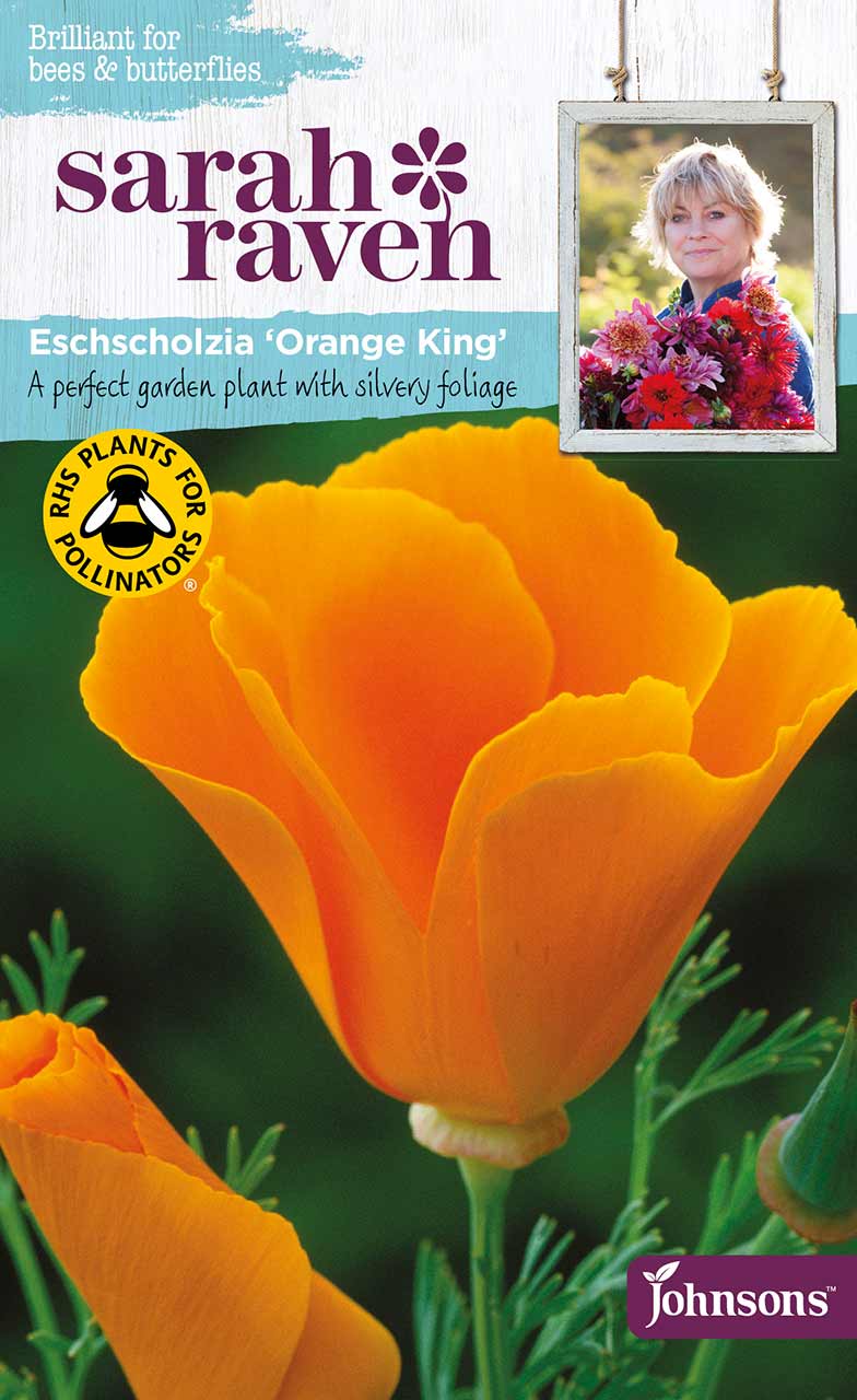 Graines Coquelicot De Californie Orange King - 1200 Graines Eschscholzia, Fleurs Orange Vif, Facile à Cultiver Pour Massif Et Rocaille