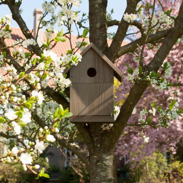 Nistkasten »Hertford«