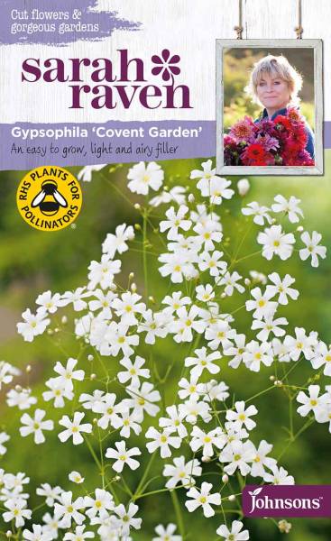 Gypsophila Covent Garden Schleierkraut von Sarah Raven