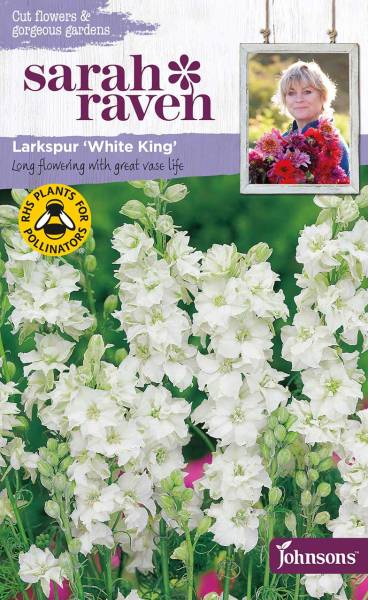 Blumensamen Larkspur White King Rittersporn