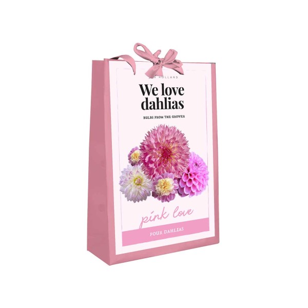 Dahlien-Mischung Pink Love Dahlien-Mischung Pink Love
