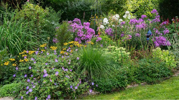 Ich träume von einem Cottage Garten Gartenbücher Bücher The