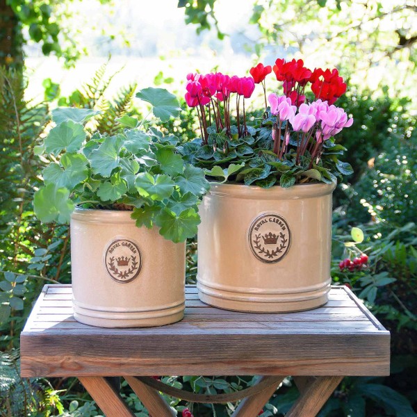 Pflanztopf »Royal Edwardian« Pflanzkübel & Pflanztöpfe Pflanzgefäße