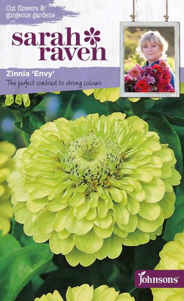 Blumensamen Zinnia Envy Sarah Raven