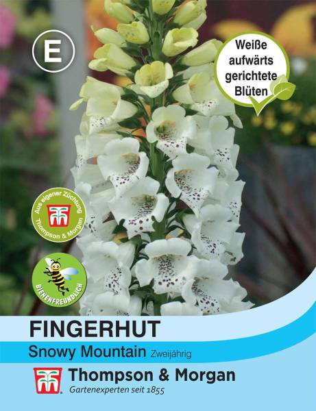 Fingerhut Snowy Mountain