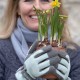 Sophie Conran Gartenhandschuhe