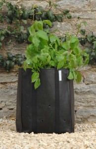 Pflanztasche-Kartoffeln