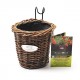 Companion Planter