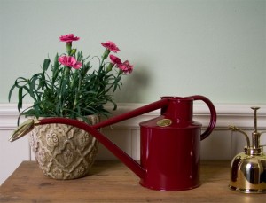 Zimmer-Gießkanne 1,0 Liter von Haws