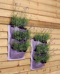 Pflanztasche für die Wand Lavendel