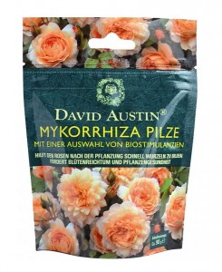 David Austin Mykorrhiza Pilze