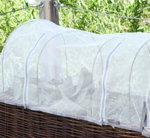 Pflanzenschutznetz für Pflanzsets