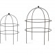 Staudenhalter Eisen