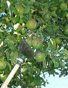 Obstpflücker