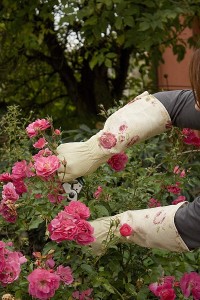 Rosenhandschuhe