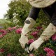 Rosenhandschuhe Bradleys