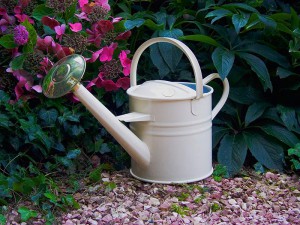 Giesskanne "Traditional Can" - 4,5 Liter von Haws