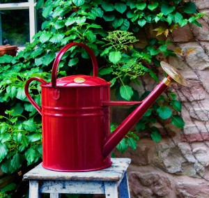 Giesskanne “Traditional Can” – 8,8 Liter von Haws