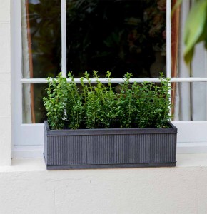 Blumenkasten