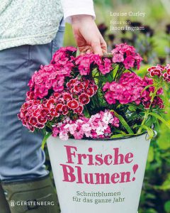 Frische Blumen