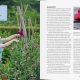 Frische Blumen Buch