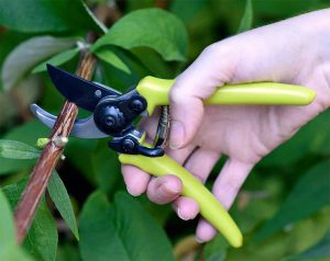 Gartenschere Micro