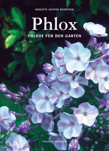 Phlox - Phloxe für den Garten