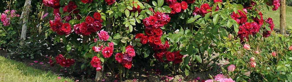 Bradleys Gartenhut „English Linen Sun“ – The Garden Shop