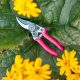 Gartenschere Pocket